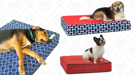 eLuxurySupply Orthopedic Dog Bed | $56-$105 | Amazon
